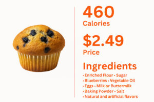 Dunkin Donuts Blueberry Muffin