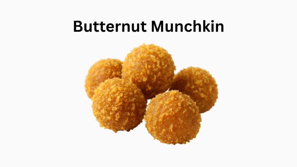 Dunkin Donuts Butternut Munchkins