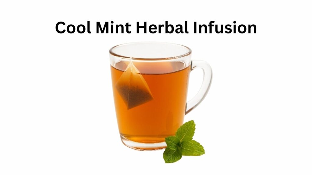 Dunkin Donuts Cool Mint Herbal Infusion