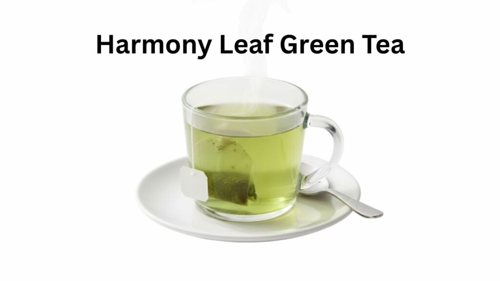 Dunkin Donuts Harmony Leaf Green Tea